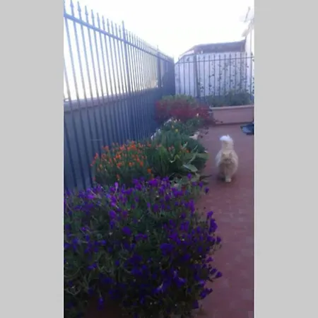 Skyline Terrace * Bari