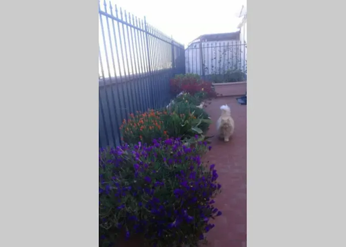 Skyline Terrace * Bari