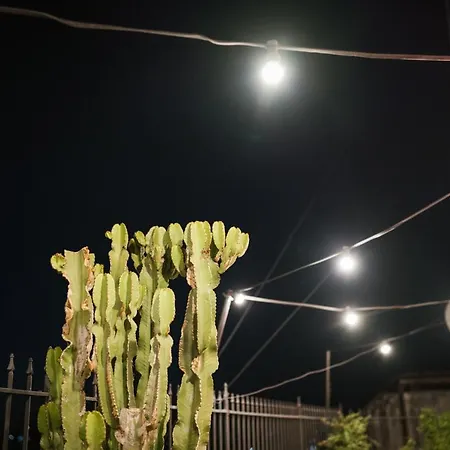 Διαμέρισμα Skyline Terrace *